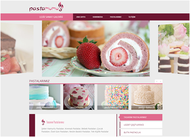 web-tasarım